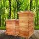 10-Frame Bee Hive Complete Beehive Kit Beeswax Coated Beehive Include Frames and Foundation Sheets for All Beekeeping Levels (2 Deep & 1 Medium Bee Boxes)