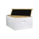 10 Frame Starter Beehive Kit - Includes 2 Deep and 1 Medium Painted and Assembled Box with Top and Bottom