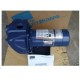 Sta-Rite DS3HF 1.5HP Centrifugal Pump