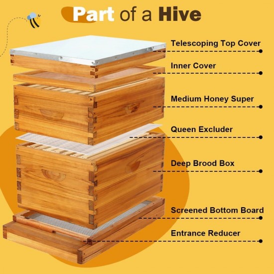 8 Frame Beehive Kit with Screened Bottom Board Dipped in 100% Beeswax Bee Hive Boxes Starter Kit for Bee Keekeepers - Langstroth Beehive Kit with 2 Honey Bee Hives Boxes