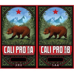 GL56723914.922 Cali Pro Bloom A+B Fertilizer Combo, 3.8 L