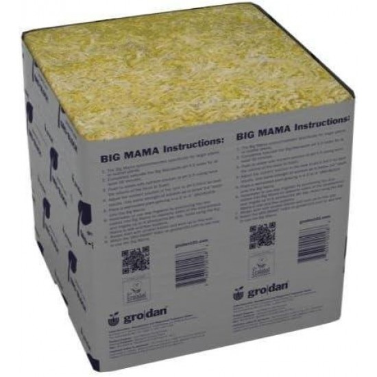 Delta Big Mama Block 8 by 8 by 8 Inch, Case of 18 Blocks