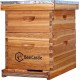 10-Frames Complete Beehive Kit, 100% Beeswax Coated Bee Hive Includes Beehive Frames and Beeswax Coated Foundation Sheet (2 Layer)