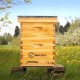 8 Frame Bee Hive Complete Kit, 100% Beeswax Coated Bee Hive Includes Frames and Foundation Sheet (2 Layer)