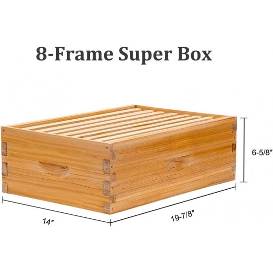 8 Frame Bee Hive Complete Kit, 100% Beeswax Coated Bee Hive Includes Frames and Foundation Sheet (2 Layer)