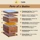 8 Frame Bee Hive Complete Kit, 100% Beeswax Coated Bee Hive Includes Frames and Foundation Sheet (2 Layer)