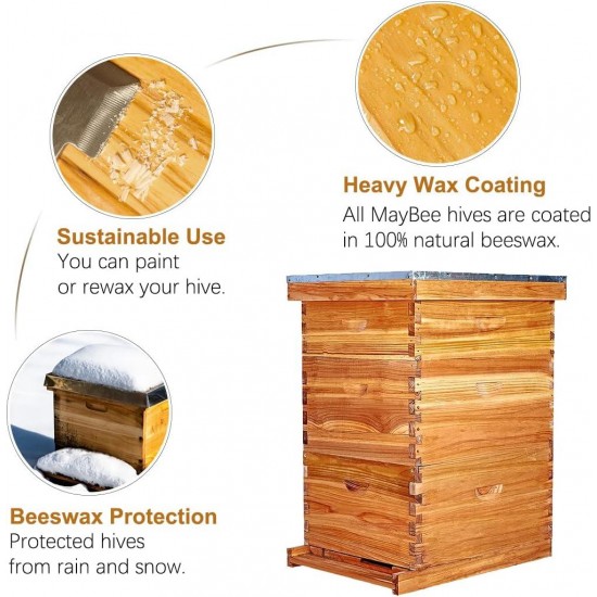 10-Frame Langstroth Beehive Dipped in 100% Beeswax, Complete Bee Hives and Supplies Starter Kit Includes 2 Deep Hive Bee Box and 1 Bee Hive Super with Beehive Frames and Foundation