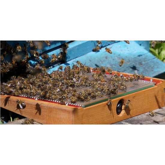 Bee Venom Collectors - BeeWhisper , Beekeeping Equipment