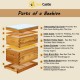 10-Frame Langstroth Beehive, Beeswaxed Coated Bee Hive Starter Kit for Beekeeping Beginners with Beehive Frame and Waxed Foundation (1 Deep Beehive Box & 1 Medium Beehive Box)