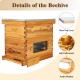 10-Frame Langstroth Beehive, Beeswaxed Coated Bee Hive Starter Kit for Beekeeping Beginners with Beehive Frame and Waxed Foundation (1 Deep Beehive Box & 1 Medium Beehive Box)