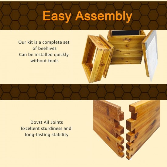 5-Layer Langstroth Beehive Dipped in 100% Beeswax, Complete Bee Hives and Supplies Starter Kit Includes 2 Deep Hive Bee Box & 3 Super Bee Hive(No Frame).