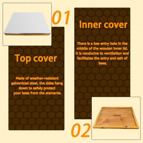 5-Layer Langstroth Beehive Dipped in 100% Beeswax, Complete Bee Hives and Supplies Starter Kit Includes 2 Deep Hive Bee Box & 3 Super Bee Hive(No Frame).