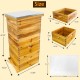 5-Layer Langstroth Beehive Dipped in 100% Beeswax, Complete Bee Hives and Supplies Starter Kit Includes 2 Deep Hive Bee Box & 3 Super Bee Hive(No Frame).