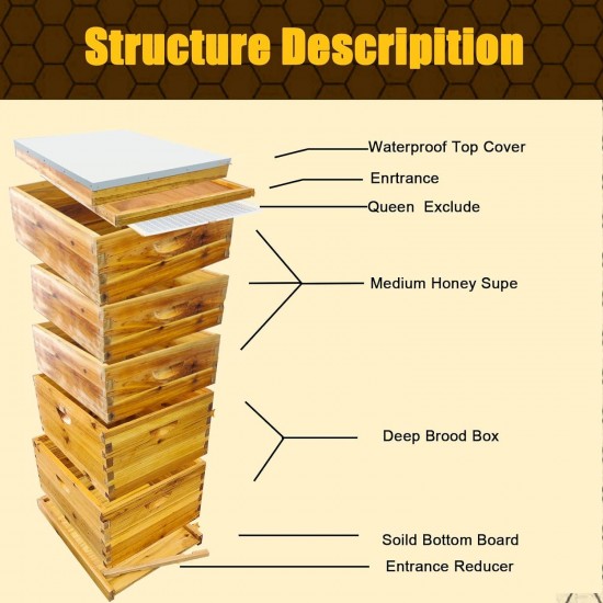 5-Layer Langstroth Beehive Dipped in 100% Beeswax, Complete Bee Hives and Supplies Starter Kit Includes 2 Deep Hive Bee Box & 3 Super Bee Hive(No Frame).