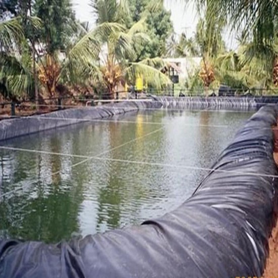 Pond Liner 20Mil 20x30ft Flexible Geomembrane Dam Liner Pond Skins HDPE Black Liner for Outdoor Ponds Water Garden and Fish Pond