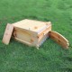 Super Box with 7pcs Honey Flowing Frames