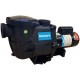 Doheny's Harris ProForce 1.5 HP Inground Pool Pump 220V ((1.35 THP))