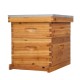 10 Frames Beehive, Complete Beehive Kit Includes 1 Deep Boxes, 1 Medium Box, Frames and Waxed Foundations, for Yard, Field, Bee Farm (2 Layer)