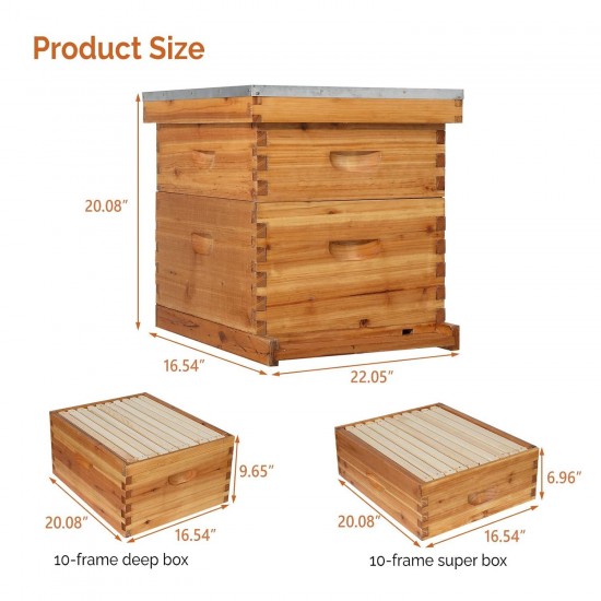 10 Frames Beehive, Complete Beehive Kit Includes 1 Deep Boxes, 1 Medium Box, Frames and Waxed Foundations, for Yard, Field, Bee Farm (2 Layer)