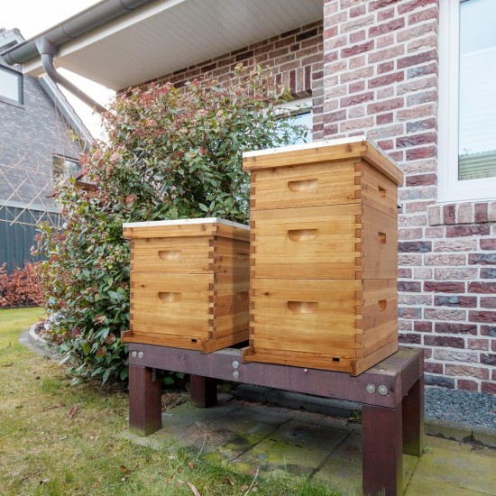 10 Frames Beehive, Complete Beehive Kit Includes 1 Deep Boxes, 1 Medium Box, Frames and Waxed Foundations, for Yard, Field, Bee Farm (2 Layer)