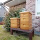 10 Frames Beehive, Complete Beehive Kit Includes 1 Deep Boxes, 1 Medium Box, Frames and Waxed Foundations, for Yard, Field, Bee Farm (2 Layer)