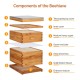 10 Frames Beehive, Complete Beehive Kit Includes 1 Deep Boxes, 1 Medium Box, Frames and Waxed Foundations, for Yard, Field, Bee Farm (2 Layer)