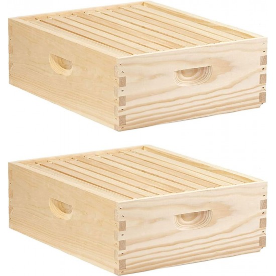 10 Frame Medium Honey Super Beehive Brood Body Wood Box (2 Pack)