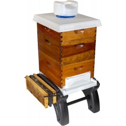 Ultimate Hive Stand for Beekeepers (8 Frame and Flow Hive) from Farmstand Supply