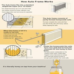 Flows Beehive Kit,Wooden Beekeeping House Beehive Boxes with 7 PCS Auto Bee Hive Frame for Beginning Professional Beekeepers