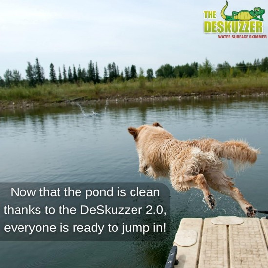 DeSkuzzer 2.0 54 Wide Floating Debris Collector for Lakes & Ponds | Extremely Durable Net | Made in The USA