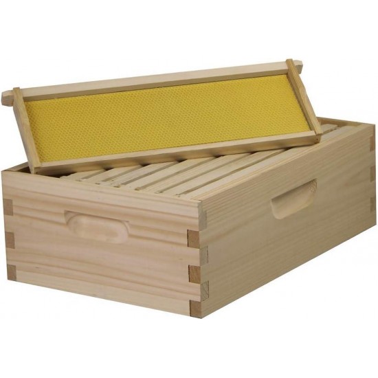 Amish Made in USA Complete 8 Frame Langstroth Bee Hive includes Frames and Foundations (2 Deep, 1 Medium)