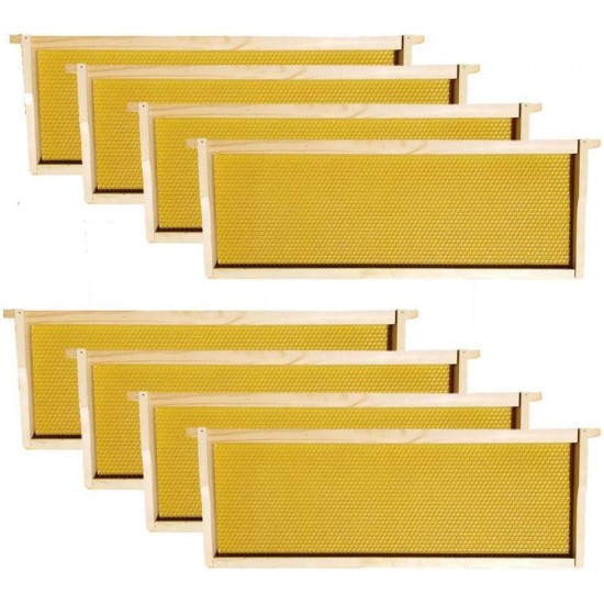 Amish Made in USA Complete 8 Frame Langstroth Beehive - The Beginner (1 Deep, 1 Medium)