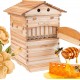 Bee Hives Boxes Starter Kit,Bee Box with Waxed Foundations with 7 pcs Upgraded Auto Frame,Food Grade BPA  Beekeeping Supplies