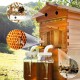 Bee Hives Boxes Starter Kit,Bee Box with Waxed Foundations with 7 pcs Upgraded Auto Frame,Food Grade BPA  Beekeeping Supplies