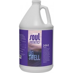 Soul Big Swell, Liquid Fertilizer for Hydroponics and Soil, 2-5-3, 1 Gallon