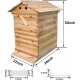 Flows Hive Beehive Kit Automatic Wooden Bee Hive House Kit Beehive Boxes with 7 Pieces Comb Honey Frames for Beginning and Professional Beekeepers