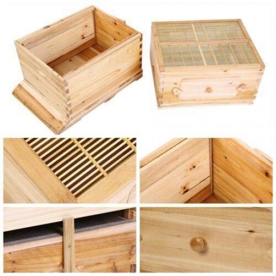 Flows Hive Beehive Kit Automatic Wooden Bee Hive House Kit Beehive Boxes with 7 Pieces Comb Honey Frames for Beginning and Professional Beekeepers