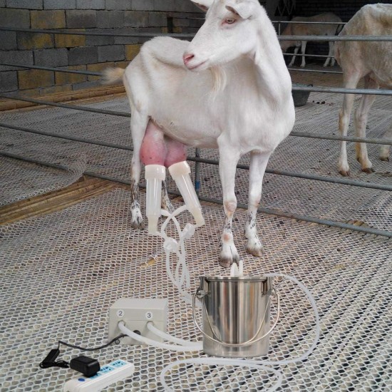 Electric Pulsation Milking Machine, Piston Vacuum Pulsation Milking Machine Goat Milking Supplies for Cows Cattle or Sheep, Portable Livestock Milking Equipment