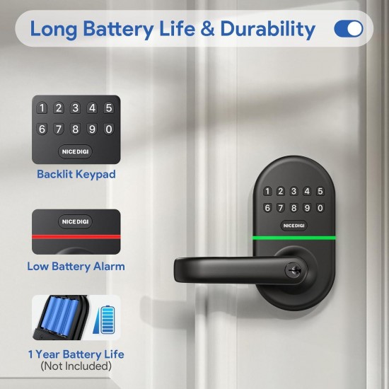 Smart Keypad Door Lock with Handle - Easy Installation